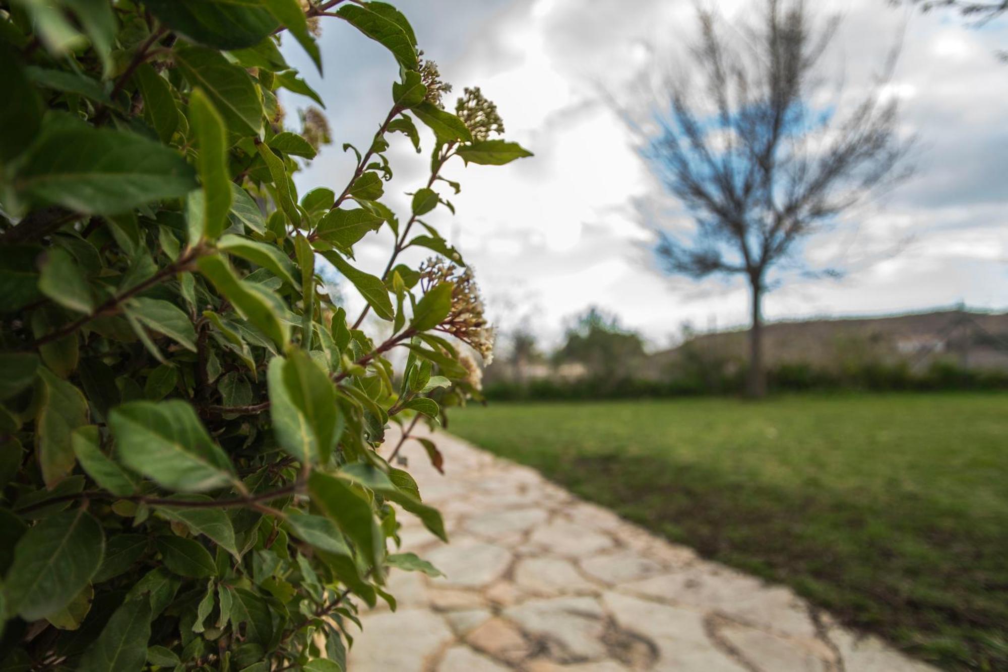 Cabana De Campo Agost Zewnętrze zdjęcie